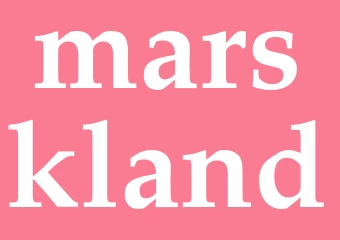 Synonym marskland