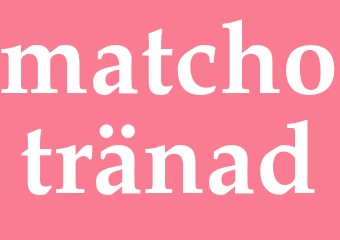 Synonym matchotränad