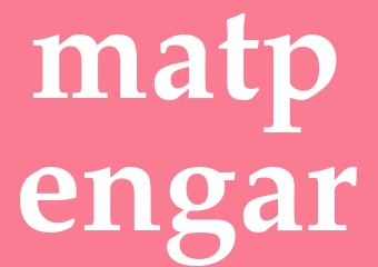 Synonym matpengar
