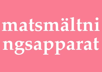 Synonym matsmältningsapparat