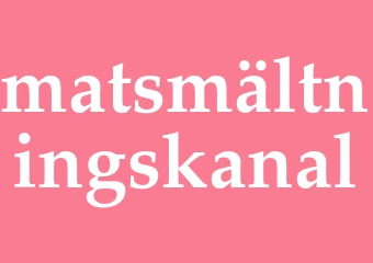 Synonym matsmältningskanal