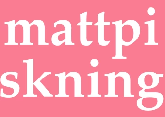 Synonym mattpiskning