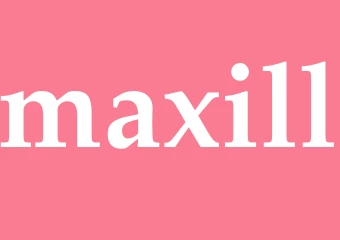 Synonym maxill