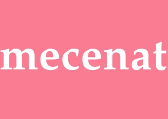 Synonym mecenat