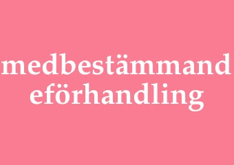 Synonym medbestämmandeförhandling