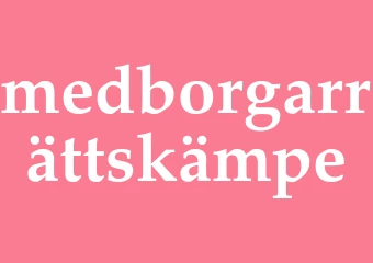 Synonym medborgarrättskämpe