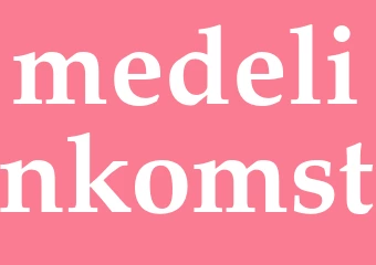 Synonym medelinkomst