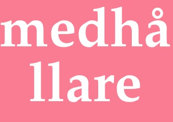 Synonym medhållare