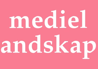 Synonym medielandskap