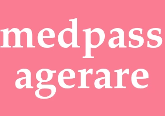 Synonym medpassagerare