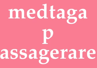 Synonym medtaga passagerare