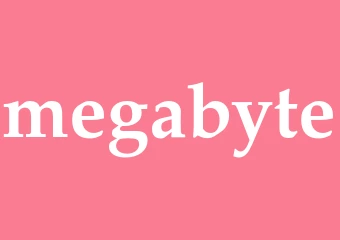 Synonym megabyte