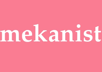 Synonym mekanist