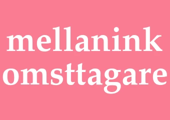 Synonym mellaninkomsttagare
