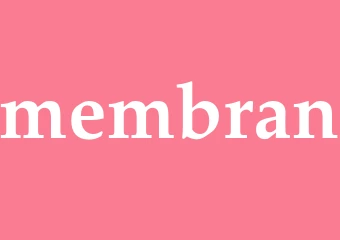 Synonym membran