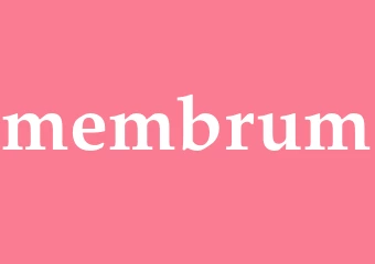 Synonym membrum