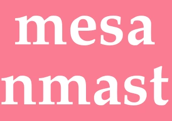 Synonym mesanmast