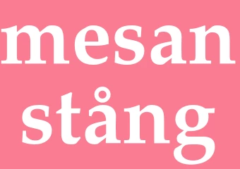 Synonym mesanstång