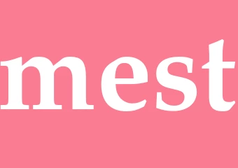 Synonym mest