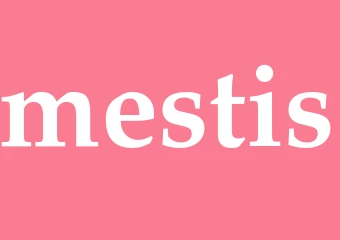 Synonym mestis