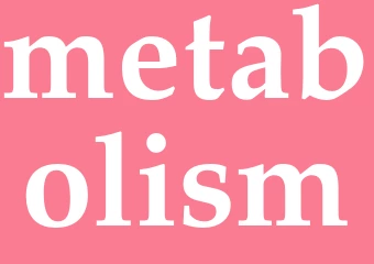 Synonym metabolism