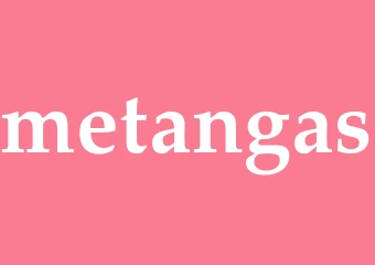 Synonym metangas