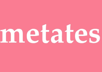 Synonym metates