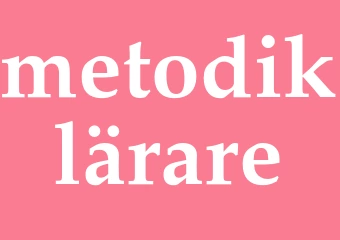 Synonym metodiklärare