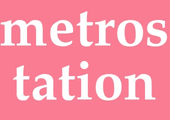Synonym metrostation