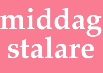 Synonym middagstalare