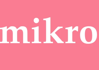 Synonym mikro
