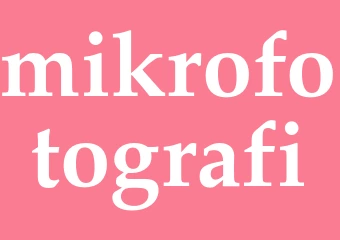 Synonym mikrofotografi