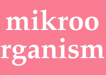 Synonym mikroorganism