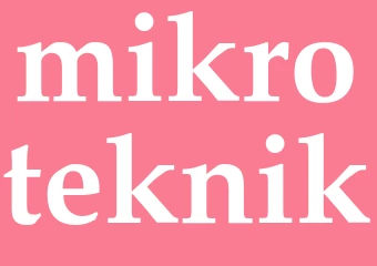 Synonym mikroteknik