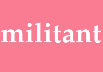 Synonym militant