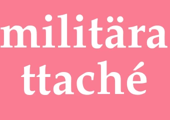 Synonym militärattaché