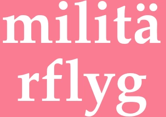 Synonym militärflyg