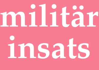 Synonym militärinsats