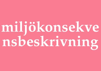 Synonym miljökonsekvensbeskrivning