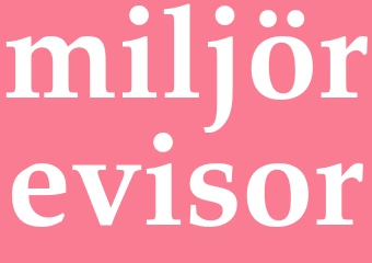Synonym miljörevisor