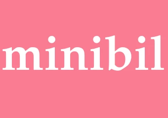 Synonym minibil