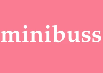 Synonym minibuss