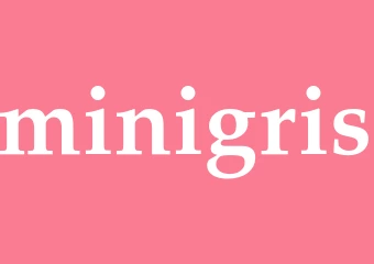 Synonym minigris