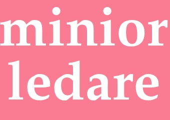 Synonym miniorledare