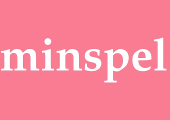 Synonym minspel