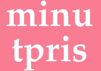 Synonym minutpris