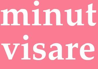 Synonym minutvisare