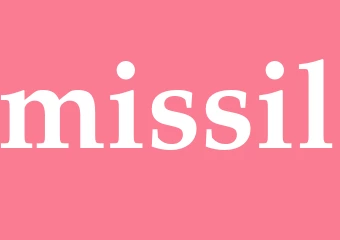 Synonym missil