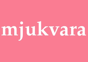 Synonym mjukvara