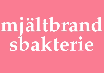 Synonym mjältbrandsbakterie